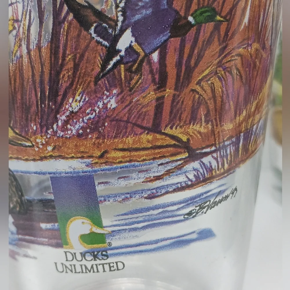 Budweiser Wildlife Collector Pint Glasses Set – Vintage Beer Glasses with Wildli